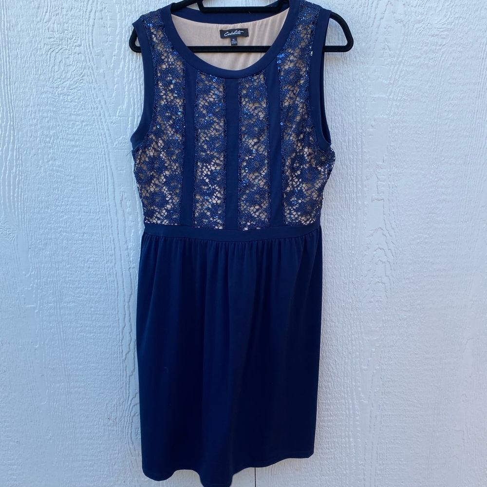 Blue/Navy and Cream Beaded Dress